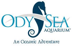 OdySea Aquarium