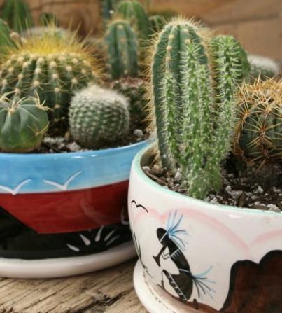 Arizona Gifts