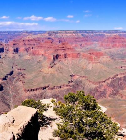 DukOUT Adventure Brokers