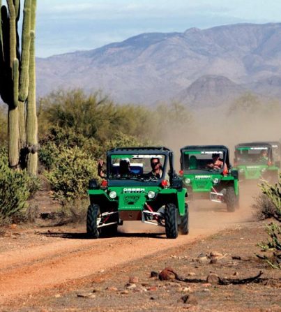 Green Zebra Adventures