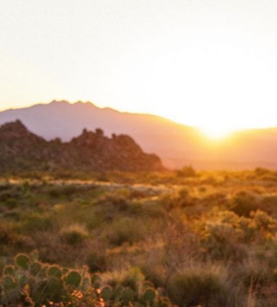 Southwest Custom Tours, Inc.