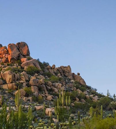 Shades of the West, Inc.