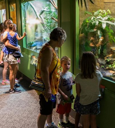 Butterfly Wonderland