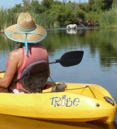 Saguaro Lake Ranch Activities