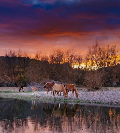 GP Walsh Photography